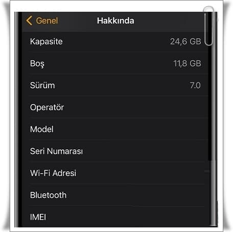 Apple Watch IMEI Numarası Nasıl Öğrenilir? (Apple Watch IMEI Sorgulama)