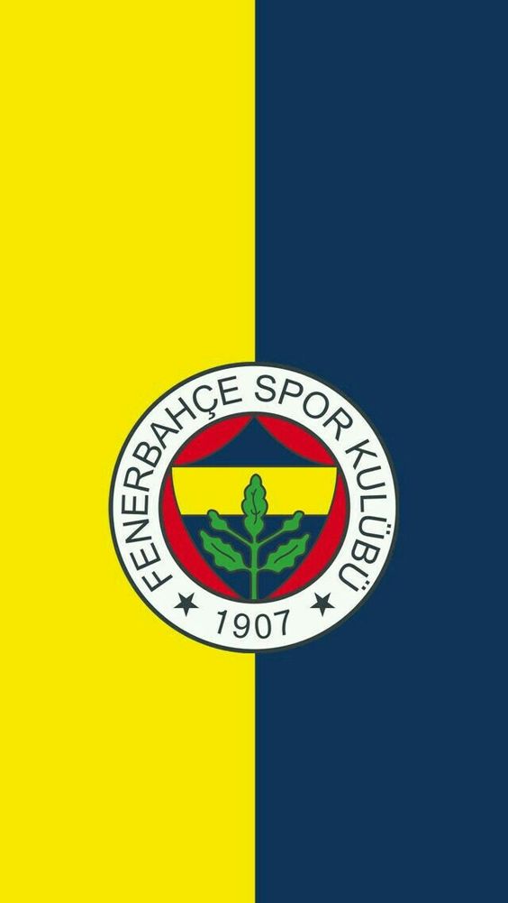 fenerbahce duvar kagitlari14