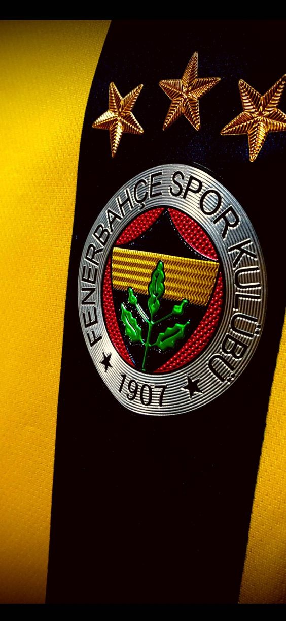 fenerbahce duvar kagitlari16