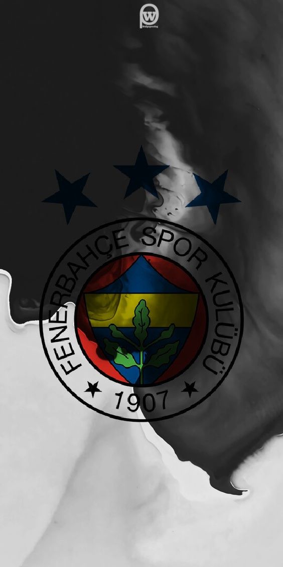 fenerbahce duvar kagitlari17