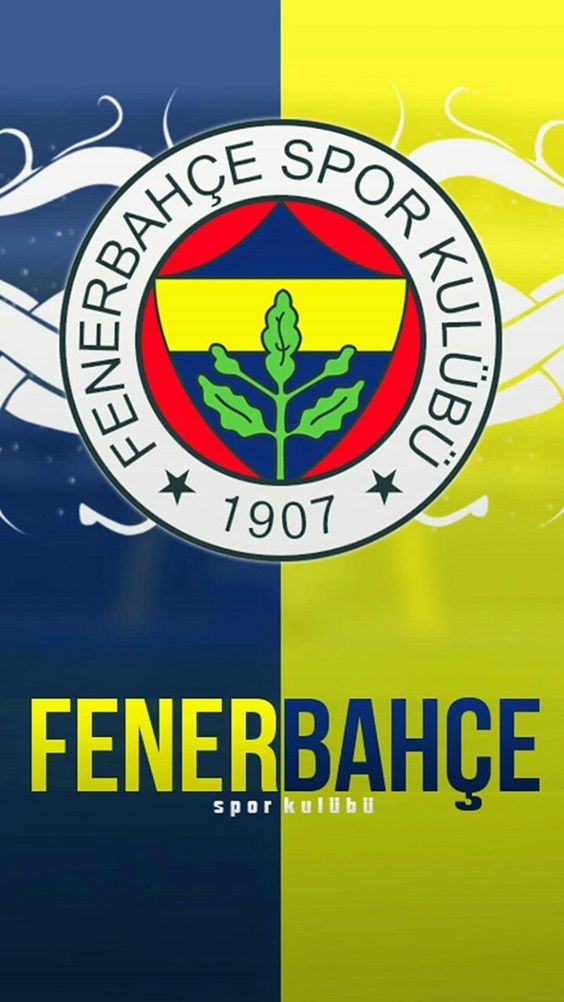 fenerbahce duvar kagitlari21