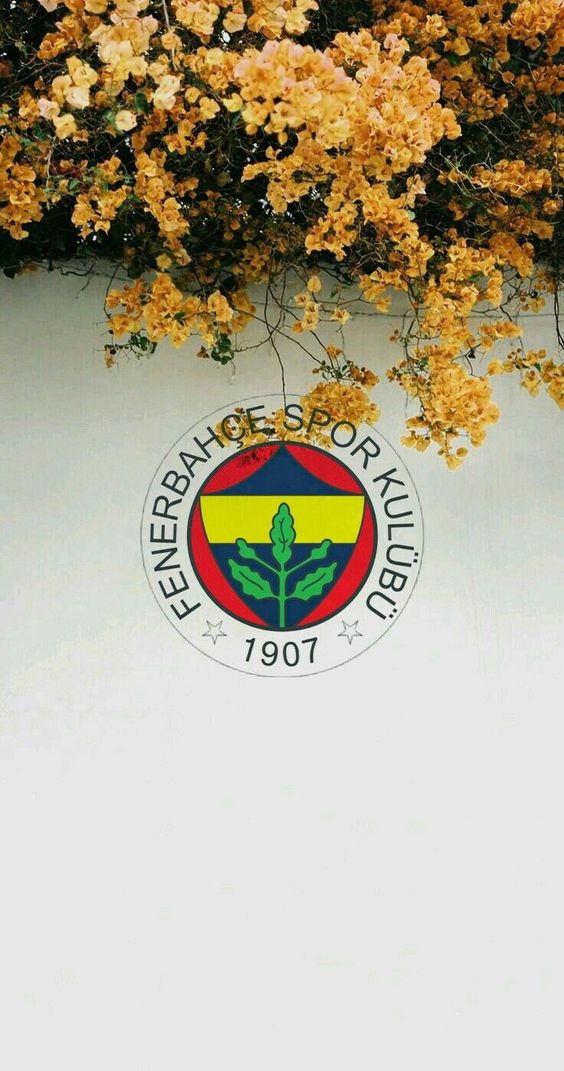 fenerbahce duvar kagitlari8