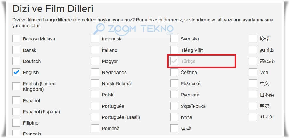 Netflix Dil Değiştirme Nasıl Yapılır?