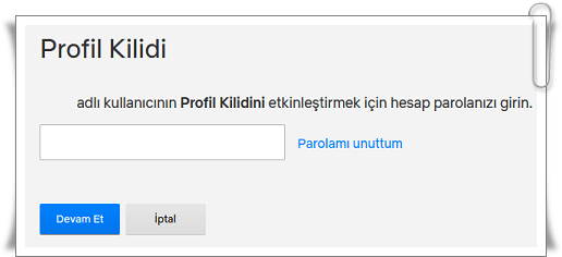 Netflix Profil Kilidi Koyma Nasıl Yapılır?