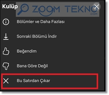 Netflix'te İzlediklerimi Nasıl Görürüm?