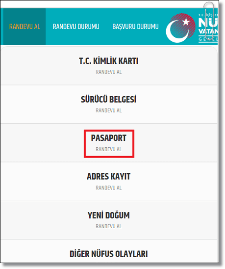 Pasaport Randevusu Almanın 3 Yolu!