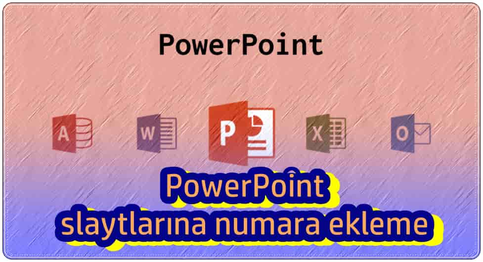 3 Adımda PowerPoint Slayt Numarası Ekleme!