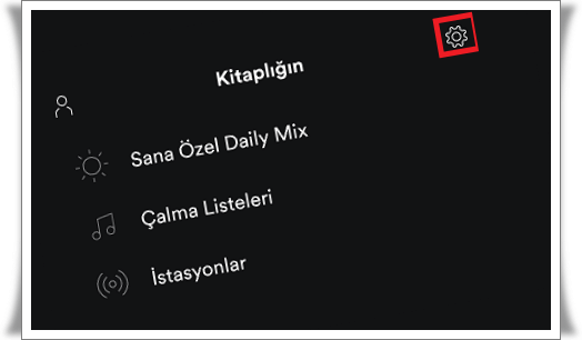 spotify cevrimdisi dinleme 3