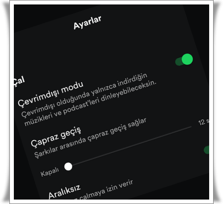 spotify cevrimdisi dinleme 4