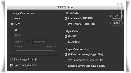 TIF Uzantılı Dosya Hangi Programla Açılır?